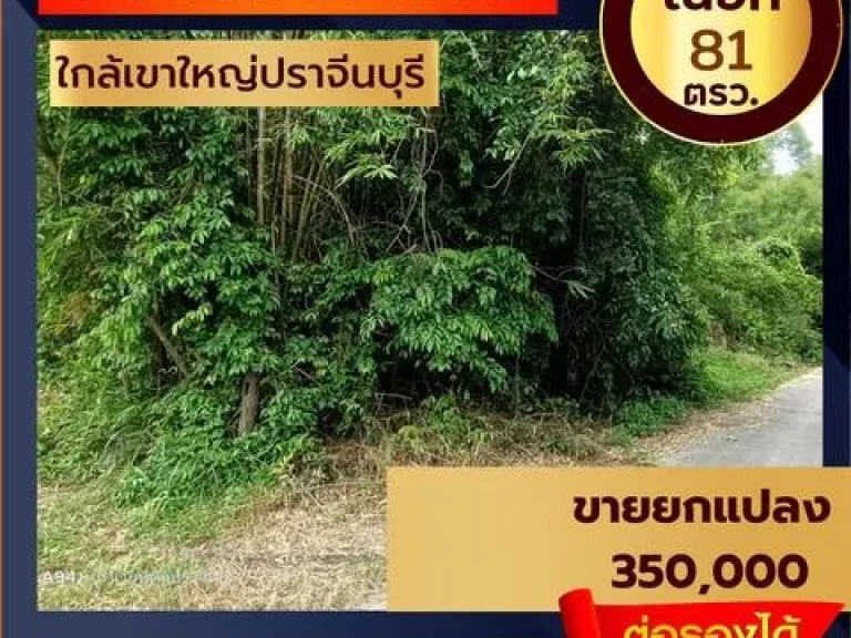 ขายที่ดิน81ตรวใกล้ด่านอุทยานเขาใหญ่ปราจีนบุรี