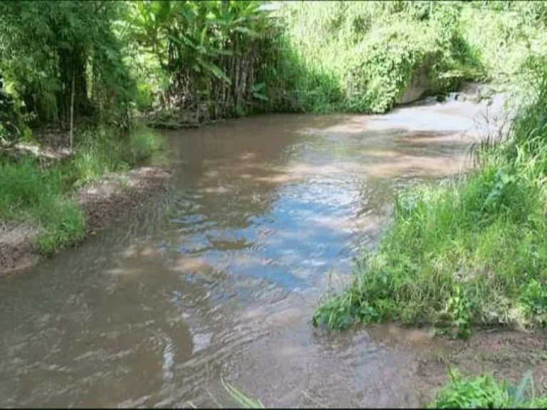 ขายที่ดินสะเมิงติดลำธารน้ำ ใกล้เมือง โฉนดพร้อมโอน