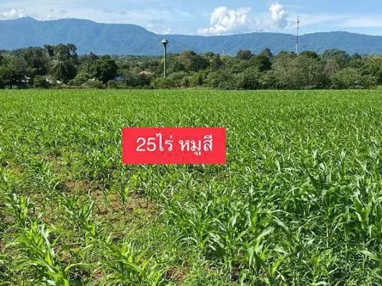 ที่ดินหมูสี ปากช่อง เขาใหญ่ 125ไร่ หน้าติดถนนลาดยาง ด้านข้างติดถนนคอนกรีต วิวเขาใหญ่