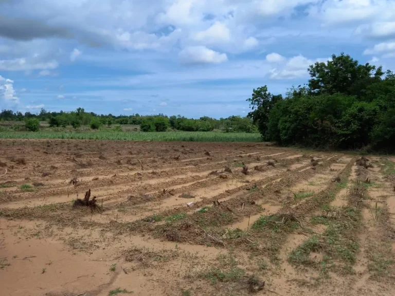 ขายที่ดินโฉนด4ไร่เหมาะทำสวนการเกษตรไฟฟ้าน้ำประปาพร้อมต่อรองได้ครับ