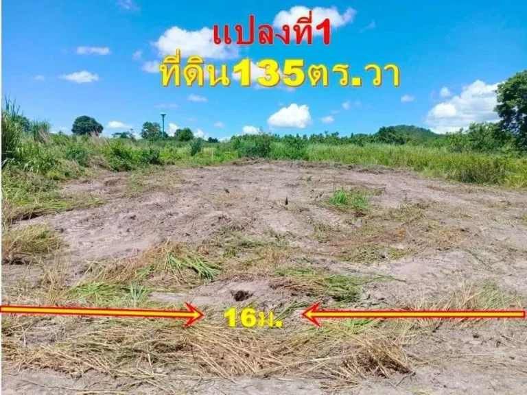 ที่ดินเพื่อปลูกบ้านพักอาศัย 135 ตารางวาเหมาะอยู่อาศัยหลังเกษียณ