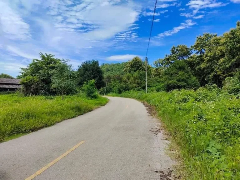 ขายที่ดินบ้านสหกรณ์แม่ออน ติดถนนสองด้าน พร้อมโอน