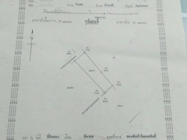 ที่ดินถมแล้ว 200 ตรว ติดถนนลาดยาง