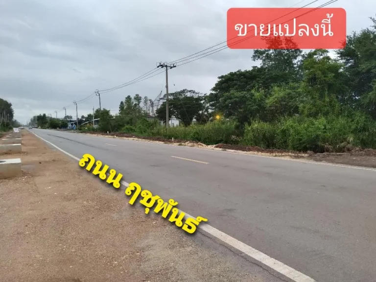 ขายถูกด่วน ติดถนนไทรน้อย-ลาดบ้วหลวง นบ3003 ฤชุพันธ์ ขายต่ำกว่าราคาประเมิน เนื้อที่ 4 ไร่ 2 งาน 47 ตรว 