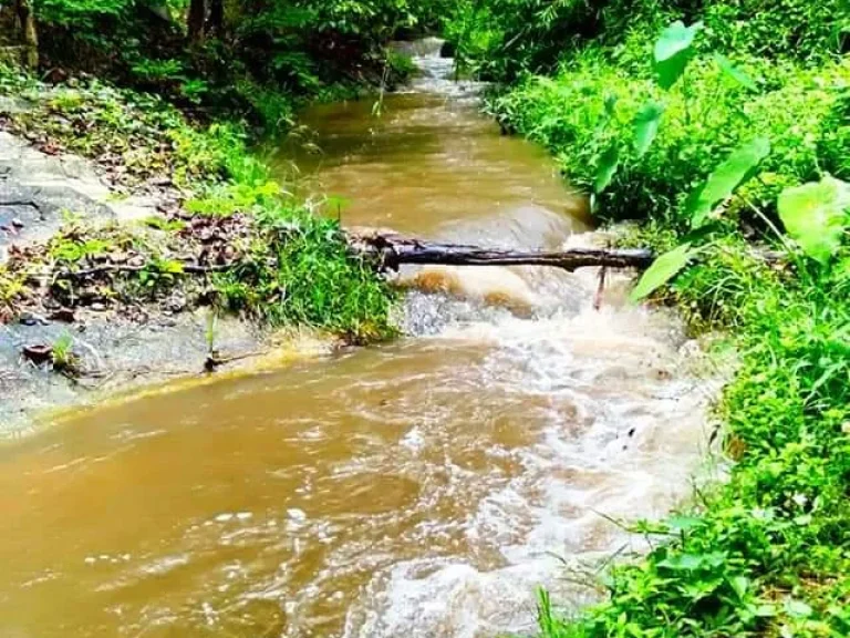 ขายที่สวนจอมทองบ้านหลวงติดธารน้ำ โฉนดพร้อมโอน