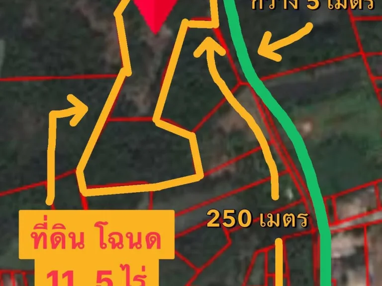 ขายถูก ที่ดินโฉนด 11 5 ไร่ ตรงข้าม รพแหลมงอบ