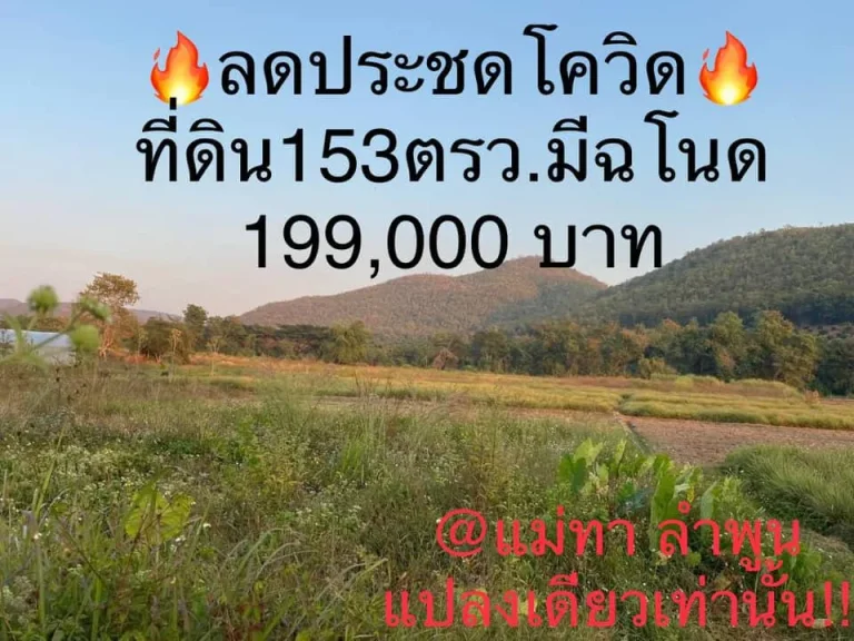 แปลงเดียวเท่านั้น หมดแล้วหมดเลย