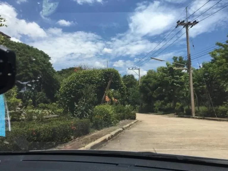 ขาย ที่ดินกลางเกาะในแม่น้ำเจ้าพระยา