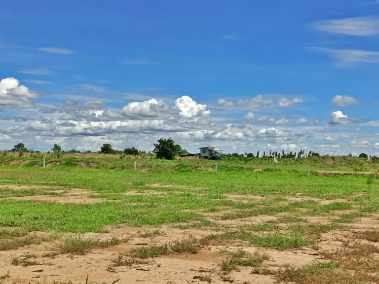 ขายที่ดินสวย สด-ผ่อน ทำเลดีบรรยากาศดีเหมาะสร้างบ้านสวนยามเกษียณ มีไฟฟ้าปะปาพร้อม