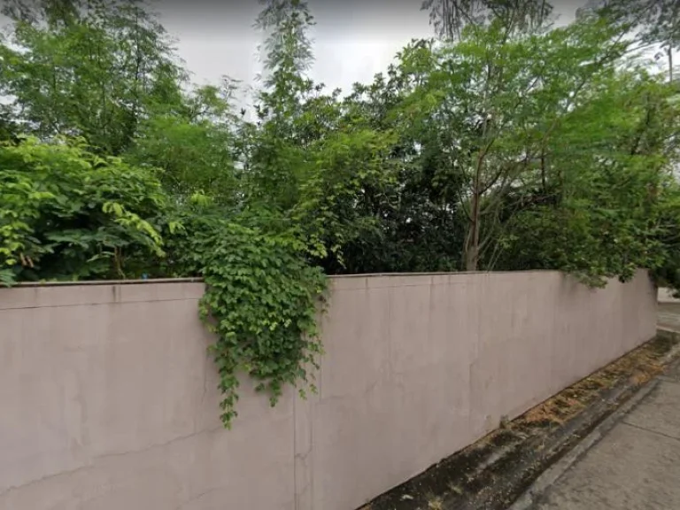 For sale land วังทองหลาง กรุงเทพ 0-1-995 ไร่ 1645 ล้าน