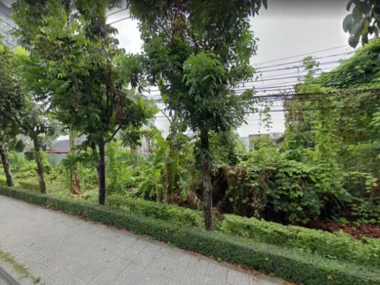 For sale land วังทองหลาง กรุงเทพ 0-3-959 ไร่ 138565 ล้าน