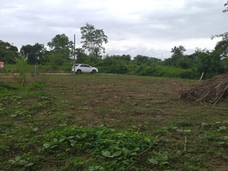 ขายที่ดิน226ตรว900000บาทอยู่ในชุมชนบ้านป่าลาน อดอยสะเก็ด ติดกับรีสอร์ทสวนไผ่บ้านแซมมี่ติดถนนคอนกรีตถูกๆ