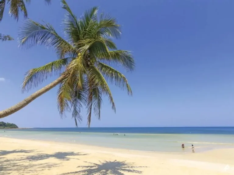 ขายที่ดินพร้อมบ้านสวนใกล้ทะเล หาดทุ่งวัวแล่น อปะทิว ชุมพร เนื้อที่ 202 ตรว เหมาะสำหรับบ้านพักหลังเกษียรเจ้าของขายถูกม