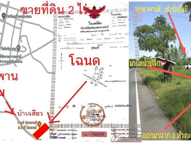 ขายที่ทำเลทองติดถนนเส้นหลัก ต้องการใช้เงินด่วนๆ ที่ดินบ้านเสียว เนื้อที่ 2 ไร่ ตหัวตะพาน อหัวตะพาน จอำนาจเจริญ