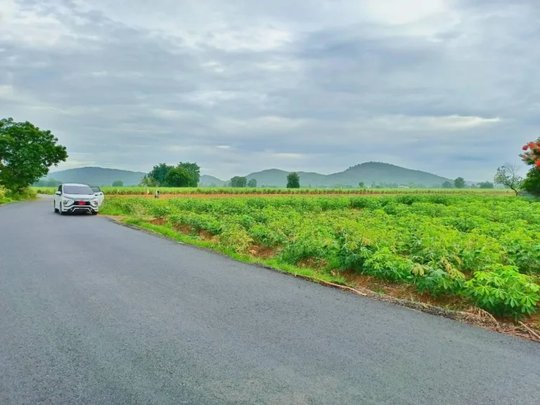 ขายที่วิวเขาสวยโอบล้อม ทำเลดีอุดมสมบูรณ์เหมาะสร้างบ้านสวนผสมผสาน ทำโคกหนองนา มีน้ำไฟพร้อมครุฑแดง