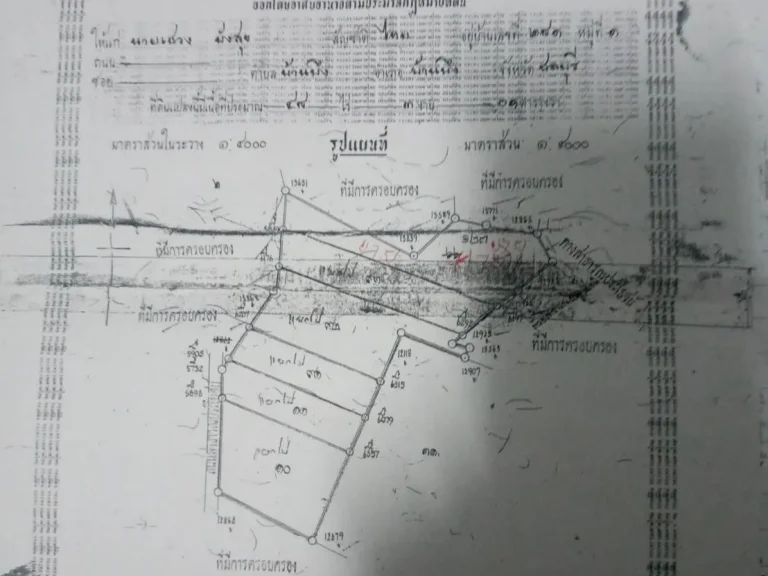 ขายที่ดินแปลงสวย 10 ไร่ 3 งาน ตหนองอิรุณ อบ้านบึง จชลบุรี ใกล้ถนนเส้น 344