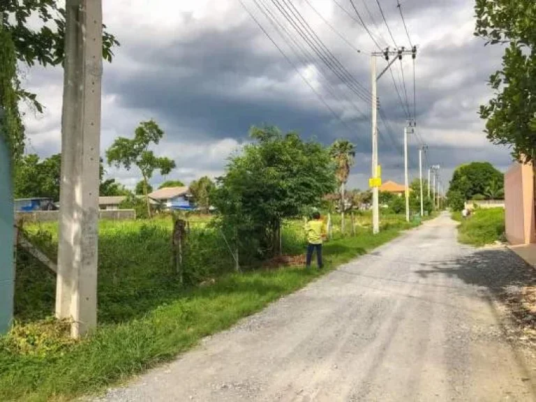 ขายที่ดิน 700 ตรว แบ่งได้ ซอยบางศรีเมือง 113 ตบางศรีเมือง อเมืองนนทบุรี จนนทบุรี