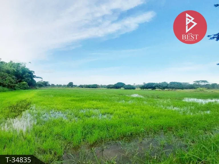 ขายที่ดิน แบ่งขาย 5 ไร่ ติดถนนสวนริมห้วย ธรรมชาติ เมืองชัยภูมิ