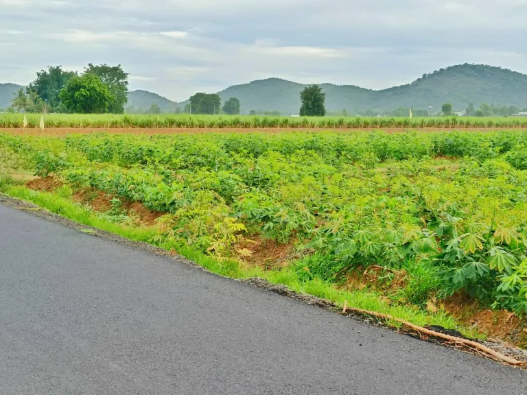 ขายที่ดินวิวเขาสวย 5 ไร่ ใกล้วัดเขดีสลัก เหมาะทำบ้านสวนเกษตรผสมผสาน ขุดบ่อทำโคกหนองนา มีน้ำไฟพร้อมโฉนดครุฑแดง