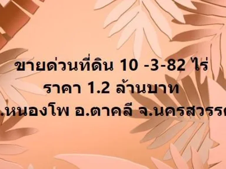 ขายด่วนที่ดิน 10 -3-82 ไร่ ราคา 12 ล้านบาท ตหนองโพ อตาคลี จนครสวรรค์