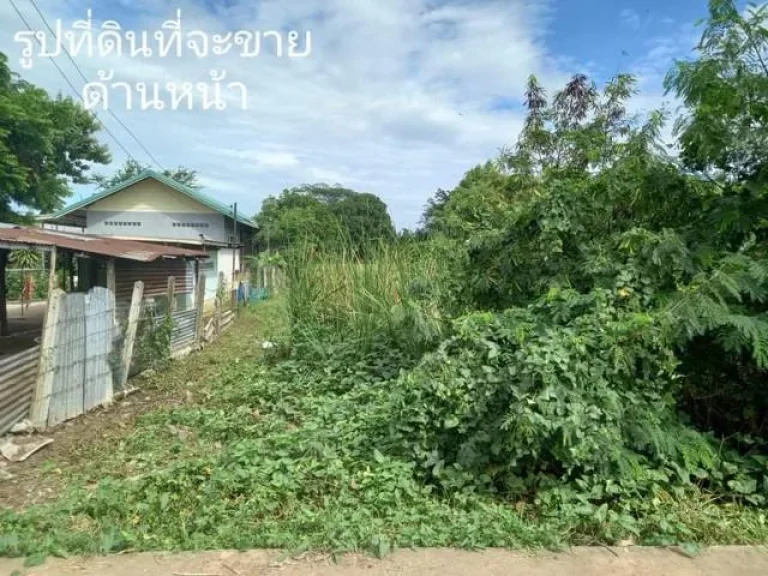 ขายที่ดินบ้านเป็ดใกล้ทางเลี่ยงเมืองขอนแก่น