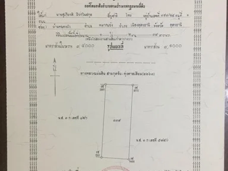 ขายที่ดินติดถนนหลักกุดจับ ตาลเลียน