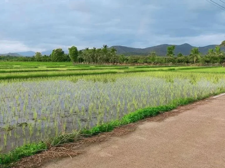 ขายที่นา ติดถนนสันกำแพง วิวดอย ติดลำเหมือง ราคาถูก