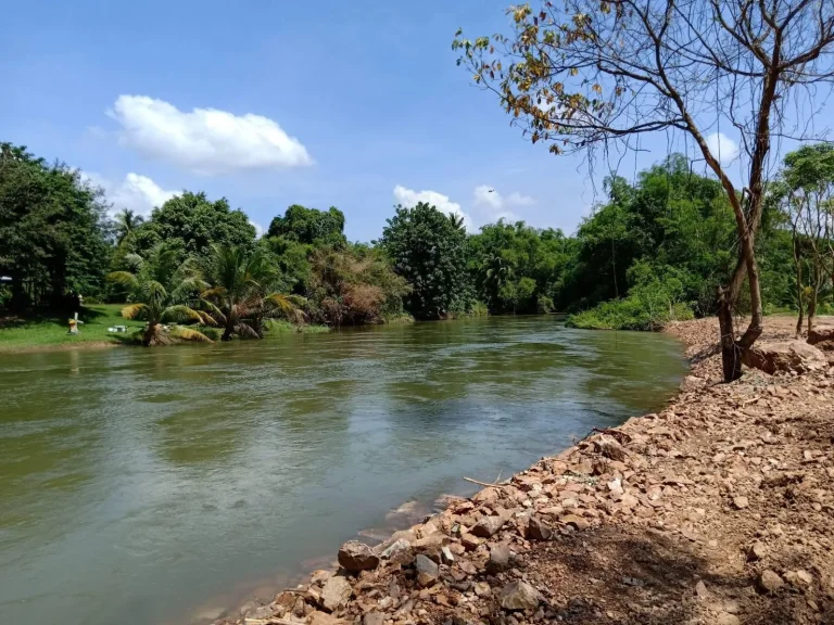 ขายที่ดิน บนเกาะกลางธรรมชาติ ท่ายาง เพชรบุรี 25ไร่เศษ