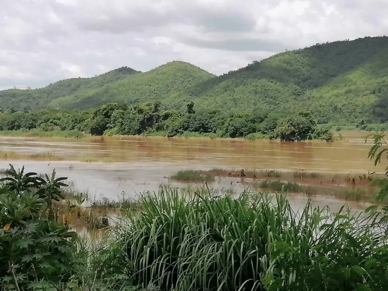 ขายบ้านพร้อมที่ดินติดแม่น้ำโขง อเชียงคาน จเลย