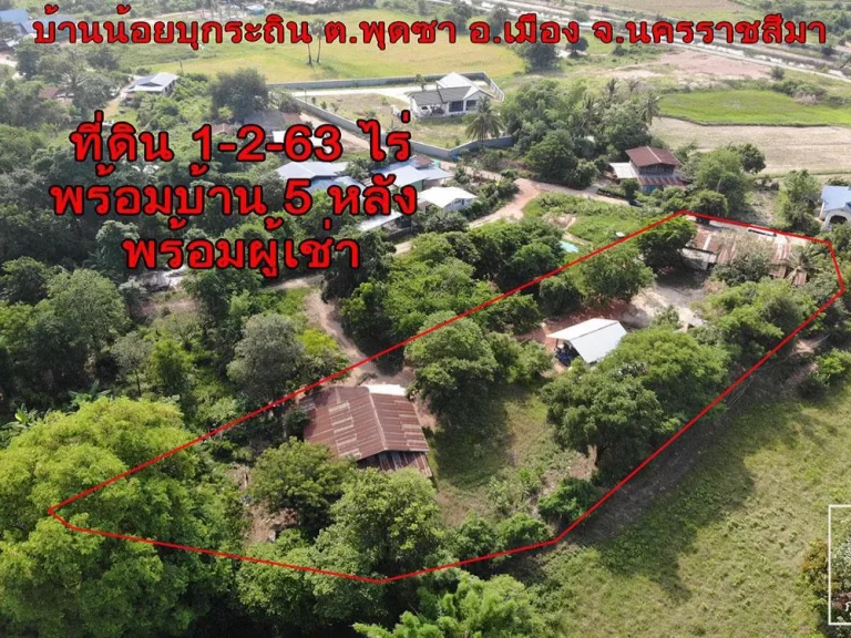 ที่ดินเพื่อการลงทุน บ้านพร้อมที่ดิน อเมืองโคราช ขนาด 1-2-63 ไร่ พร้อมผู้เช่า ลงทุน 17 ล้านบาท รับค่าเช่าเดือนละ 7 พัน