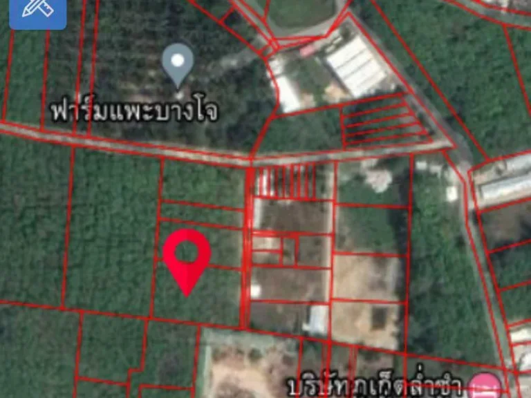 ขายที่ดิน1-1-76ตรว บางโจตก