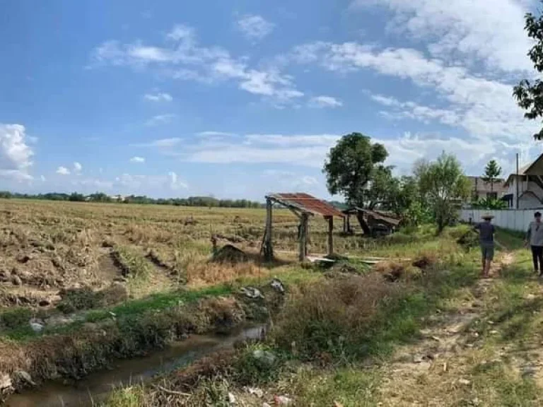 ขายที่ดินสันโป่งแม่ริม วิวดอย วิวทุ่งนา พร้อมโอน