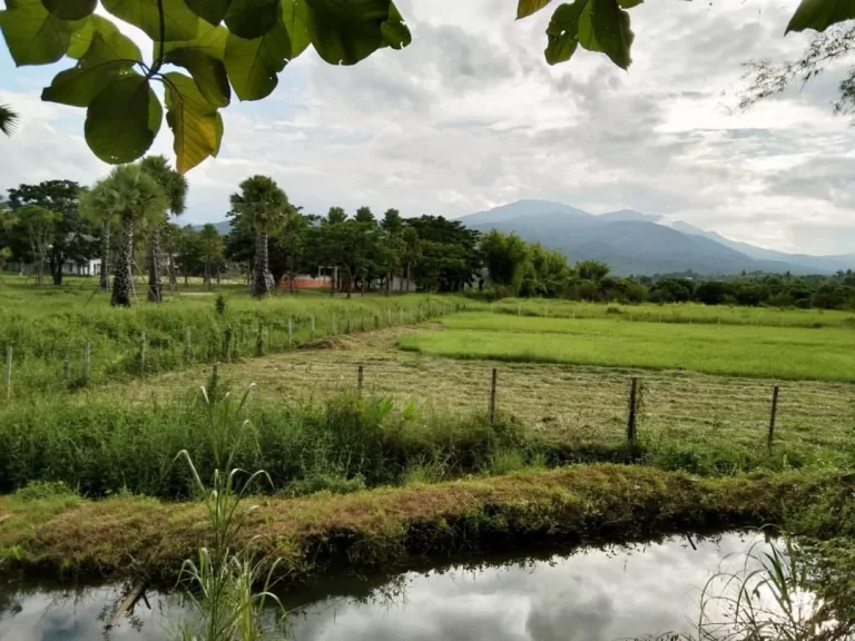 ขายที่ดินติดถนนวิวภูเขา แม่แรม แม่ริม พร้อมโอน