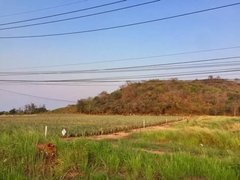 ขายที่ดินถนนติดเนินเขาเขตหัวหิน อำเภอปราณบุรี