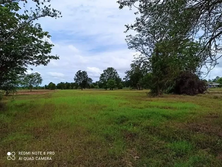 ขายที่ดินสวย 20 ไร่ 24 ตรว ตำบลรางบัว อำเภอจอมบึง จังหวัดราชบุรี