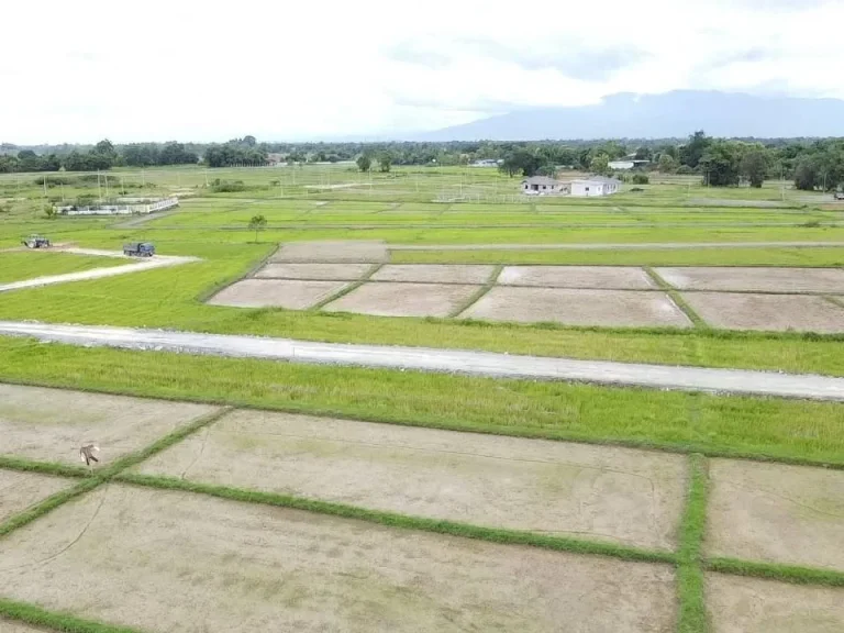 ที่ดินจัดสรรขายบ้านป่าสักน้อย ตเชิงดอย อดอยสะเก็ด จเชียงใหม่