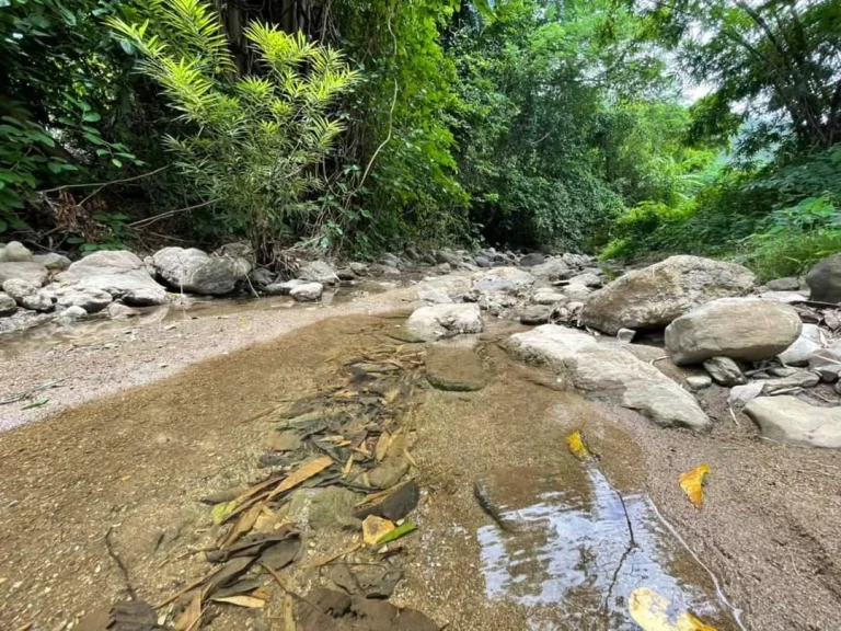 ขายที่สวนทำเลติดริมน้ำบ้านแปะจอมทองวิวดอยพร้อมโอน