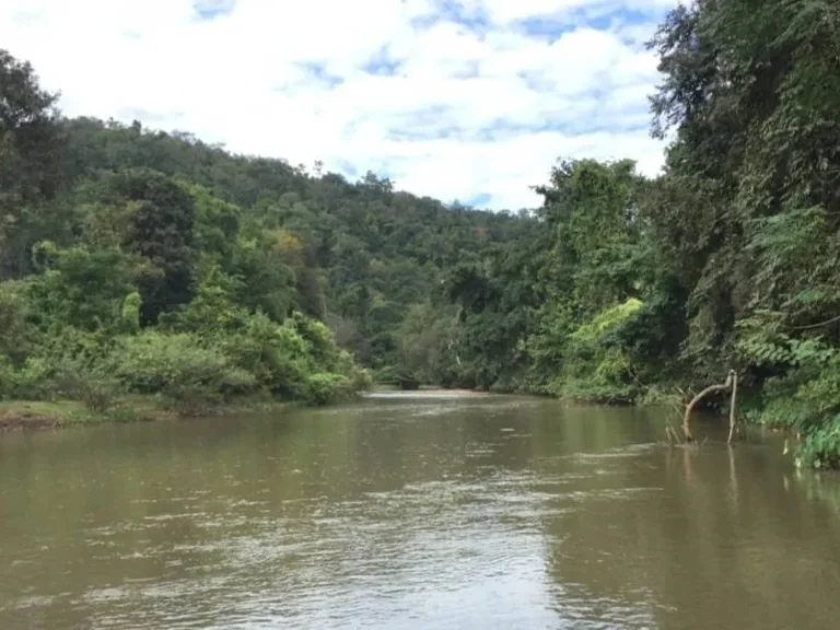 ขายที่ดินเชียงดาววิวภูเขา ติดลำน้ำแตง โฉนดพร้อมโอน