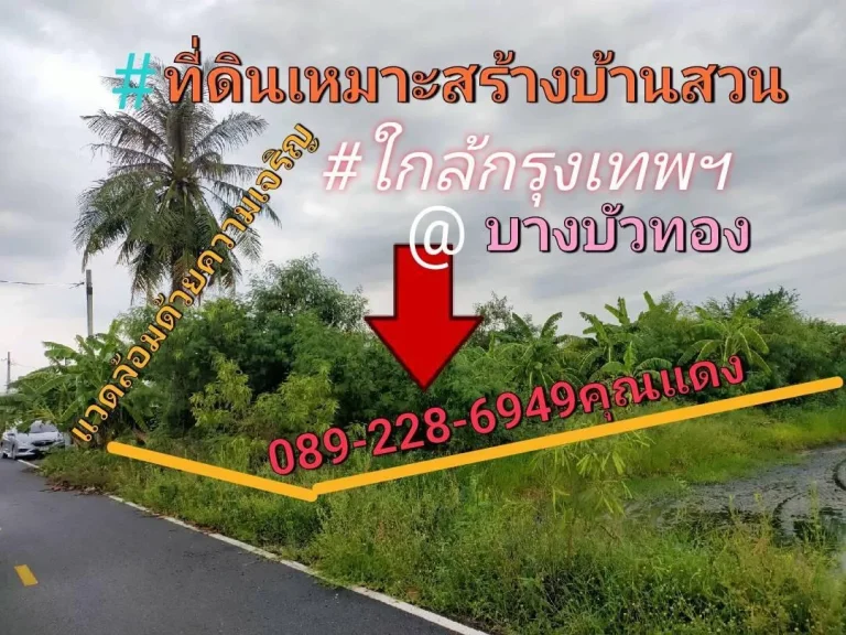 ขายที่ดิน210ตรวที่ดินรูปสี่เหลี่ยมผืนผ้า 11000ตรว