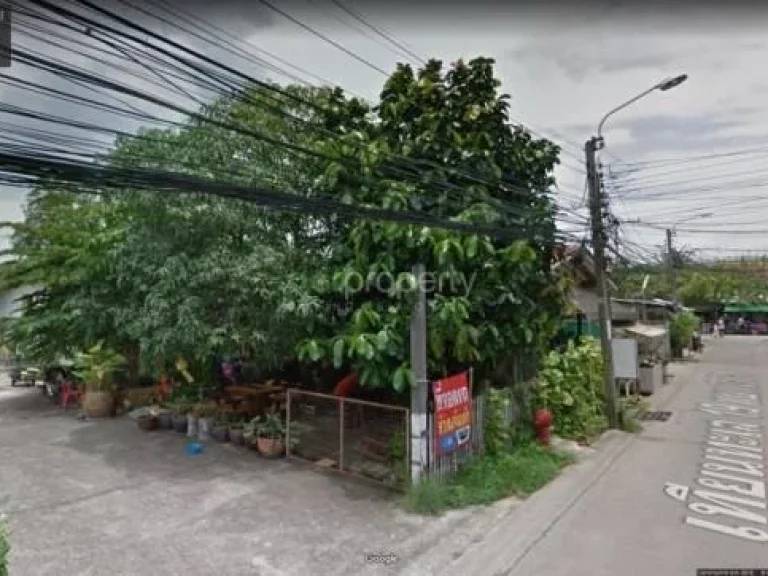 PR565ขายที่ดิน พร้อมบ้าน อยู่ในซอยเทียนทะเล 19 ซอยวัดหัวกระบือ