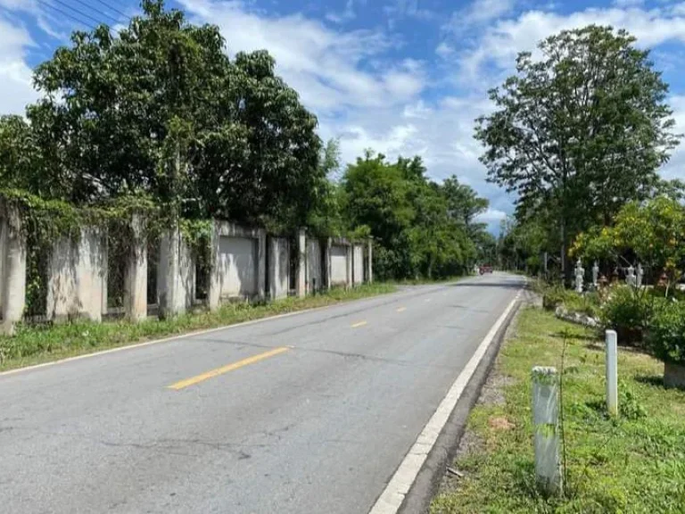 ขายที่ดินบ้านร้องธาร สันป่าตอง ทำเลดี ใกล้เมือง