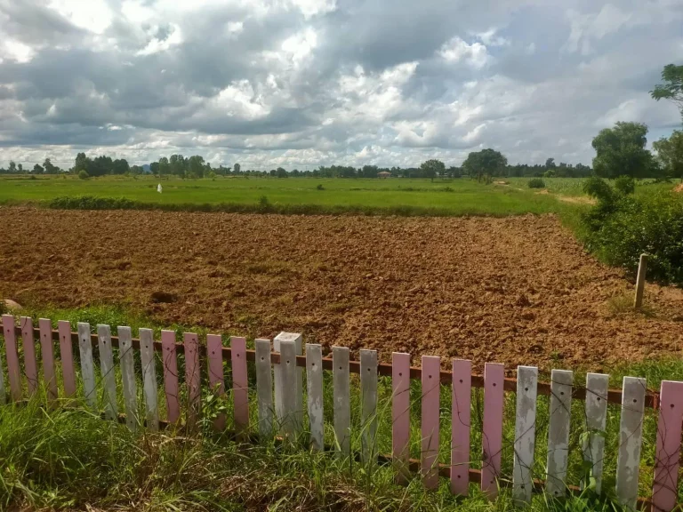 ที่ดินใกล้อุทยานประวัติศาสตร์ศรีเทพ จเพชรบูรณ์ ติดถนนเส้นหลักเหมาะกับเก็งกำไรและลงทุน