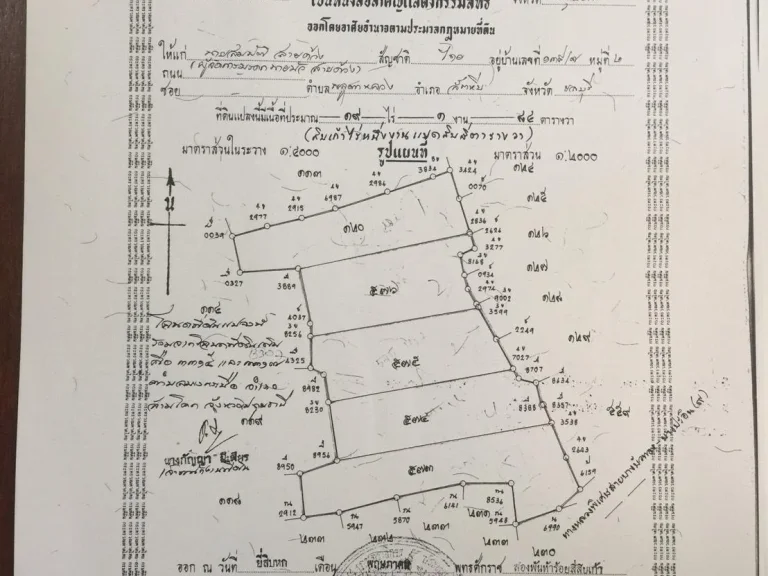 ขายที่ดิน 19 ไร่