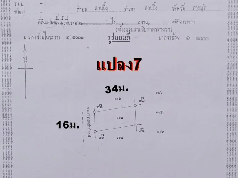 ขายที่ดินสวนผึ้งราคาถูกเหมาะอยู่อาศัย 135 ตารางวาแค่ 200000