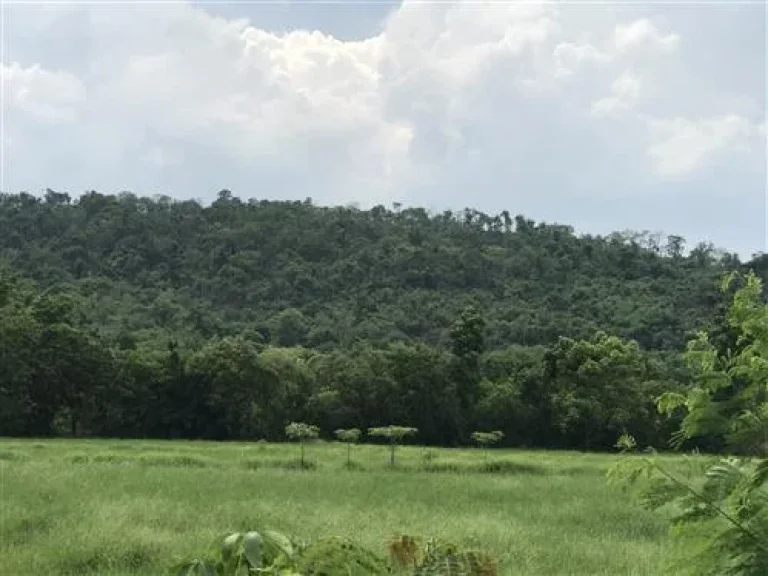 ที่ดิน วิวเขา ราคาถูกสุด รีบติดต่อมาได้เลย