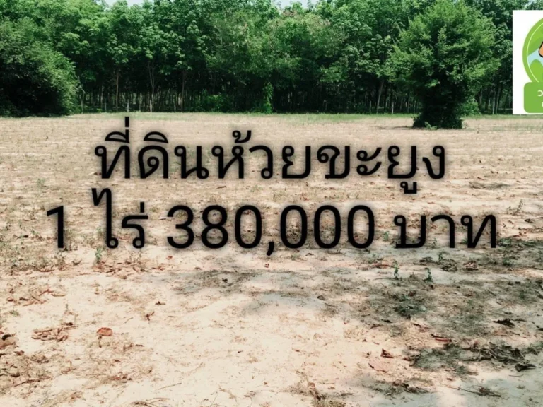 ที่ดินบ้านห้วยขะยูง ทางไปศรีสะเกษ 1 ไร่ 380000-