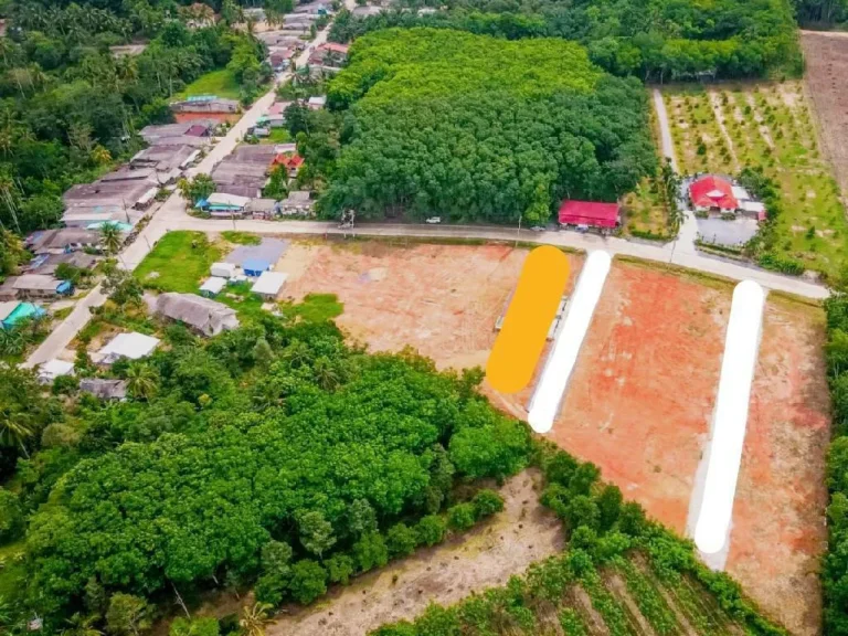 ขายที่ดินถมแล้ว ทำเลดี ติดถนนทางหลวง2ด้าน โฉนดครุฑแดง ฟรีค่าโอน มีแหล่งน้ำ น้ำไม่ท่วม สาธารณูปโภคครบครัน