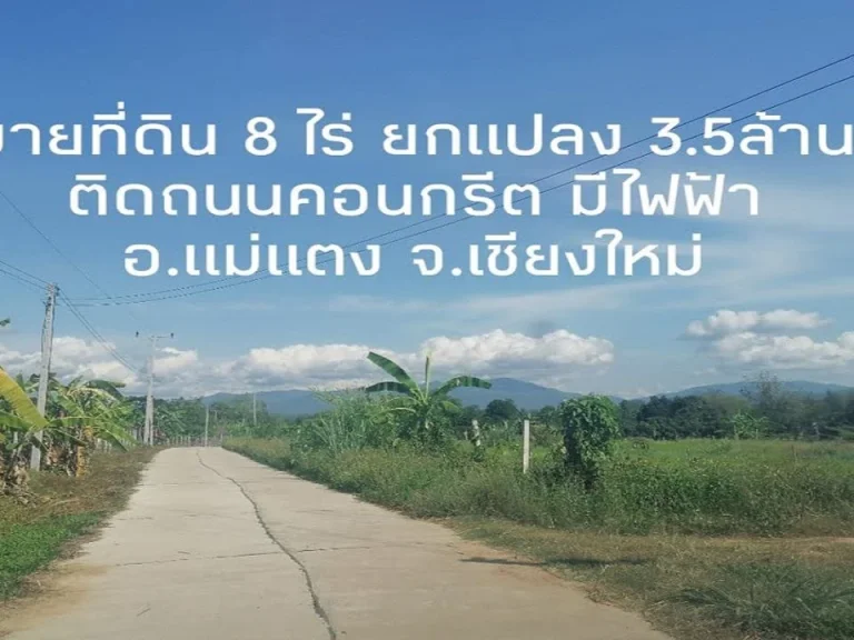 ขายที่ดินแม่แตง เนื้อที่ 8 ไร่ ยกแปลง 35ล ตสันป่ายาง อแม่แตง จเชียงใหม่