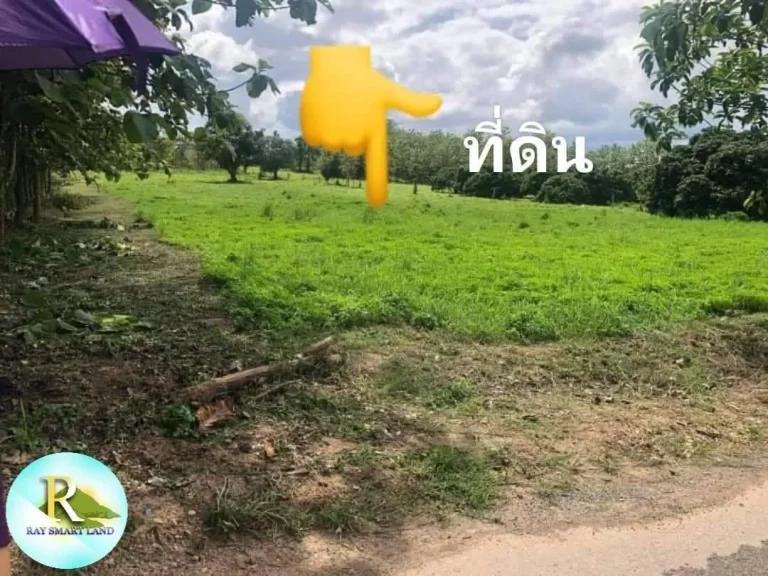 แปลงที่ดินอยู่ในเทศบาลใน ตสันมหาพน อแม่แตง จเชียงใหม่