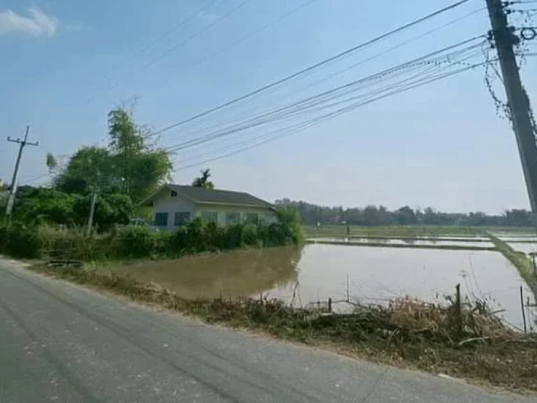 ขายบ้านพร้อมที่ดินบ้านหนองแสะห้วยทราย พร้อมโอน